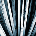 Sawtooth